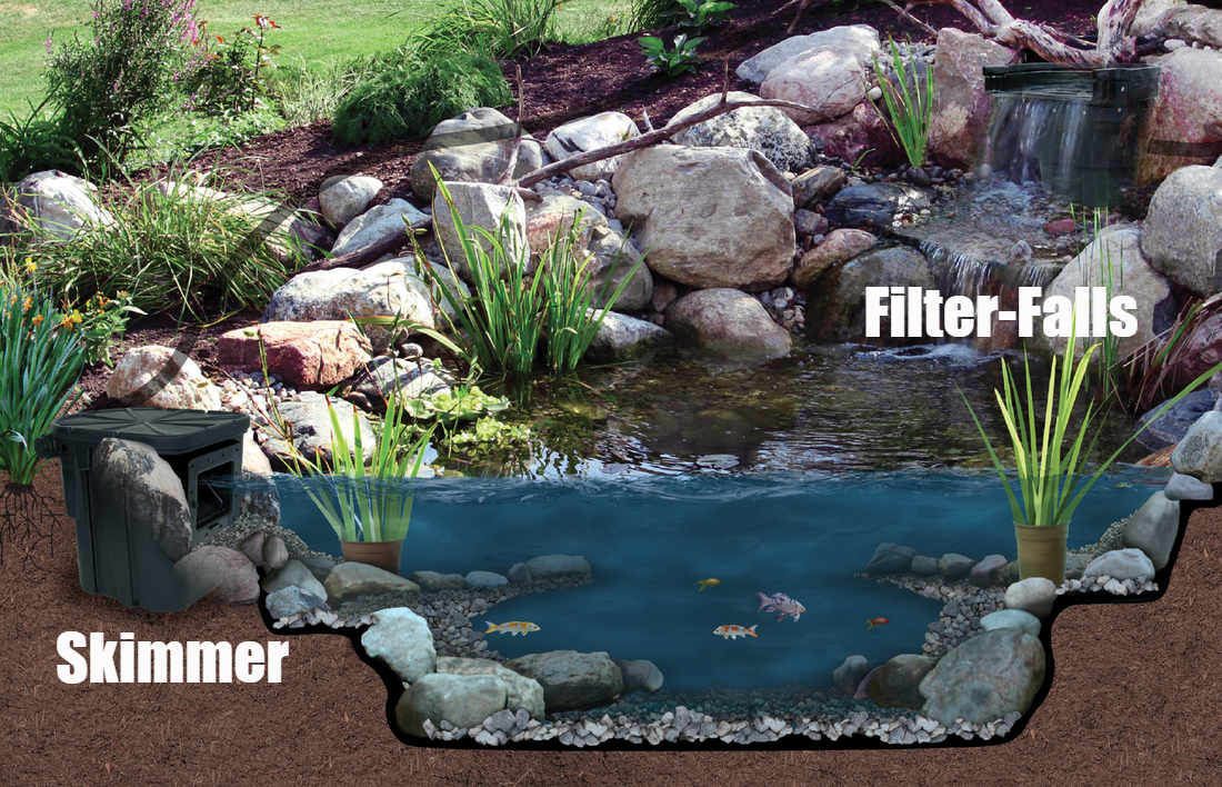 Fish pond builder/designer denver colorado